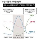 싱잉볼 명상 이미지