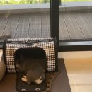 웰니스717 이미지