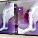 광교산동물병원 이미지