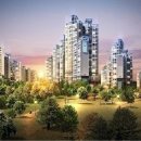 강남-118 이미지