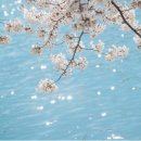 제이케이 이미지