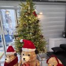 히포디저트 이미지