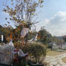 가현도담유치원 이미지