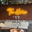 더홈 | 안양 석수동 감성카페 애견동반 더홈 방문후기