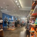 가비오타(GAVIOTA) 이미지