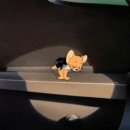 (유)타이어프로 모아점 | 춘천 본식 아이폰스냅 총정리(바이버니스냅 모먼트스냅 체리쉬유 아모어푸스냅 니타스냅)