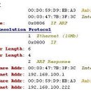 컴퓨터자격증, [Protocol] ARP - Address Resolution Protocol (1) , Cat6A 이미지