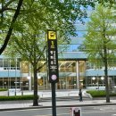 영월식당 | [광화문] 세종문화회관 근처 불백 맛집 영월사랑방식당 평일 저녁 솔직 후기