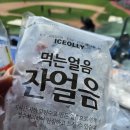 생활야구경기장 | 5월 야구장 LG트윈스 vs KT위즈 잠실야구경기장 관람후기