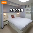 호야스테이 이미지