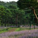 수원-1528 이미지