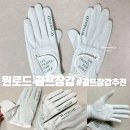 윈골프클럽 | [윈로드 골프장갑] 골프 초보자 양손 골프장갑