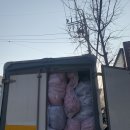 삼영이불집