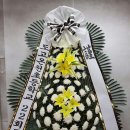 도고면로 이미지