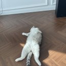 행복보일러
