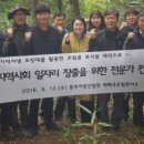 태백컨설팅