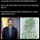 CU 거제옥포점 | 난 너를 영원히 신경 쓸 수밖에 없게 됐거든