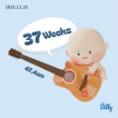 만통(주) | 임신 37주차 일상 - 태동검사, 베이비하우스 동탄오산점, 얼쓰빕 구입후기