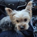 현이떡방앗간 | 2026. 1월 모음.zip