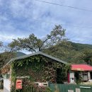 지전 | [무주 여행] 무주 지전마을 감성카페 / 나무와 그릇