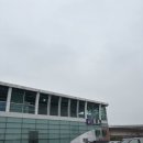 와그베어 | 부산 출발 홍콩 여행 : 김해공항 머니박스 환전 & 옥토퍼스 카드 수령, 홍콩익스프레스 기내식 솔직 후기