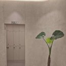 꿀아로마 - 화성시 버들로1318번길 3 | 꿀아로마
