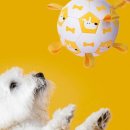 댕댕이버스 이미지