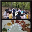 정암유치원 이미지