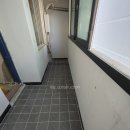 삼오르네상스 이미지