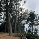 봉꾸라주