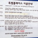 댕댕카페
