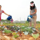 성현동-36 이미지