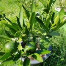 추억백화점 이미지