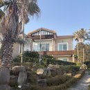 모나코펜션 | 제주도서귀포펜션 추천 모든 게 완벽했던 제주도펜션 모나코풀펜션 후기