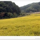 갑천면우체국 이미지