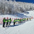 경희대 파란 태권도 체육관 | 다양한 프로그램과 주말활동이 많은 대전 노은동 지족동 경희대파란태권도
