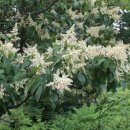 상사_체육공원 이미지