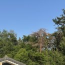 션하우스 | 울산 독채 펜션 영남 알프스 간월재 애견동반 단체 숙소 후기