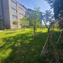 강정동-54 이미지