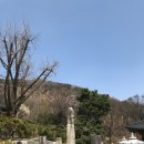 갈산리석불입상 이미지