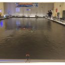 드림바다실내낚시터 이미지