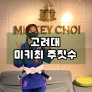 고려대 안암 미키최 정통 주짓수 체험 후기