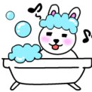 닥터호오 동물병원 이미지