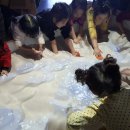 구룡포과메기문화관 브레이크뉴스