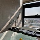 보드라떼 이미지