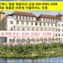 고양힐약국 네이버블로그