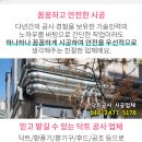 양지조은약국 이미지