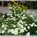 내가웰빙 이미지