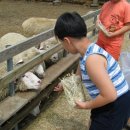 막내목장 이미지