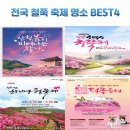 5월 국내 가볼 만한 곳 전국 철쭉 축제 명소 BEST 4